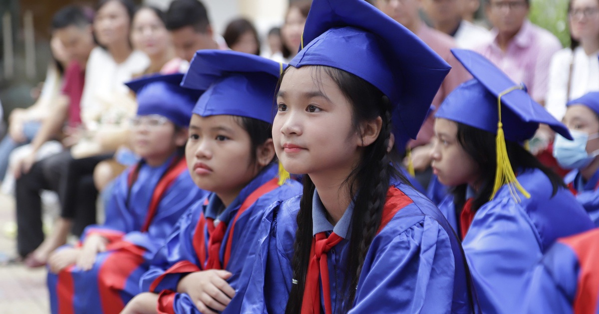 Tuyển sinh đầu cấp ở TP.HCM: Gặp 'lỗi' khi đăng ký, phải làm sao?