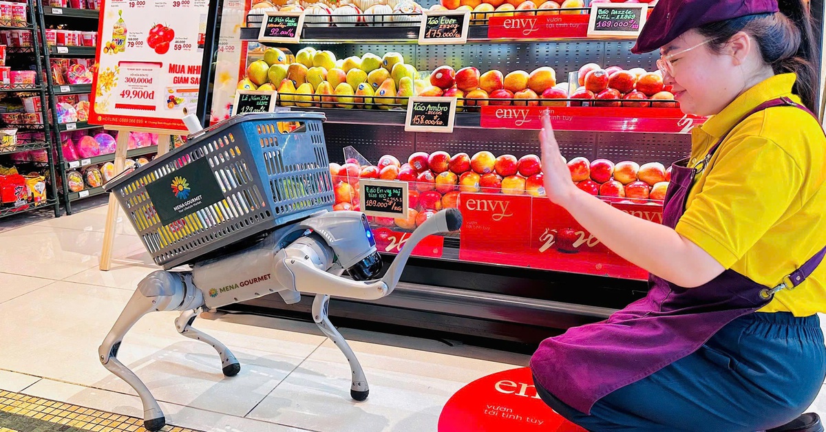 Cặp đôi robot chó Meme và Nana chính thức 'làm việc' tại Menas Mall Saigon Airport