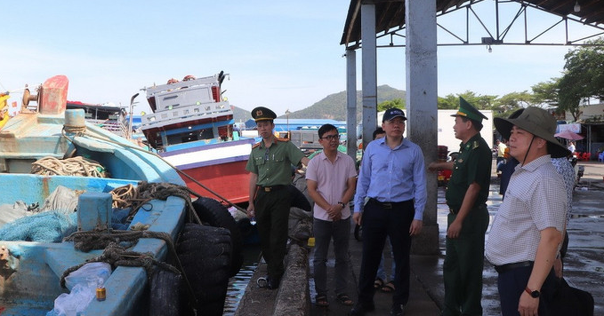 Rà soát thiết bị giám sát tàu cá tại TP.HCM, đẩy mạnh chống khai thác IUU