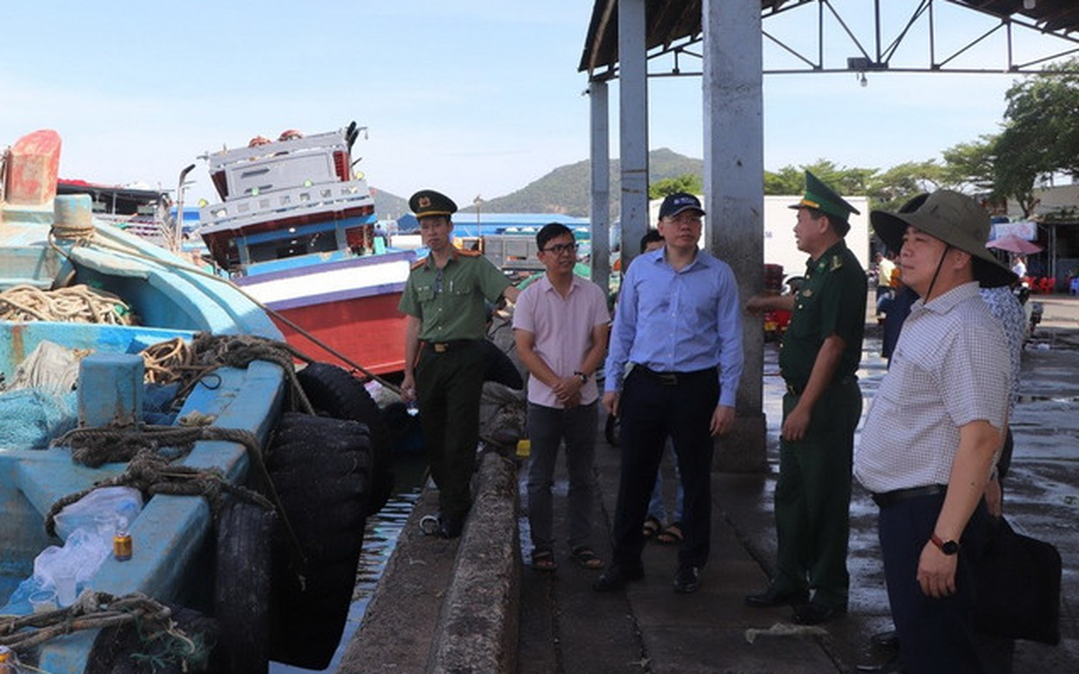 Rà soát thiết bị giám sát tàu cá tại TP.HCM, đẩy mạnh chống khai thác IUU