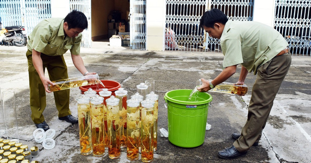 Tết đến, cảnh giác rượu bổ nhà ngâm