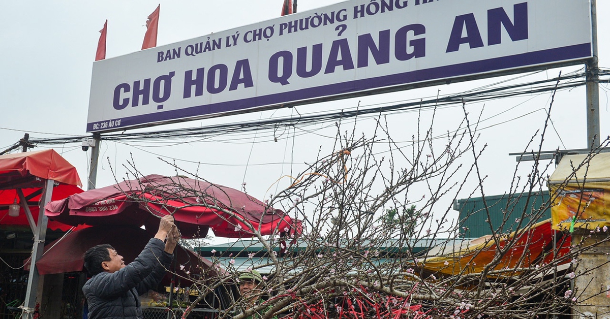 Thị trường hoa Hà Nội ngày giáp Tết: Đào giữ giá, tuyết mai tiêu thụ chậm