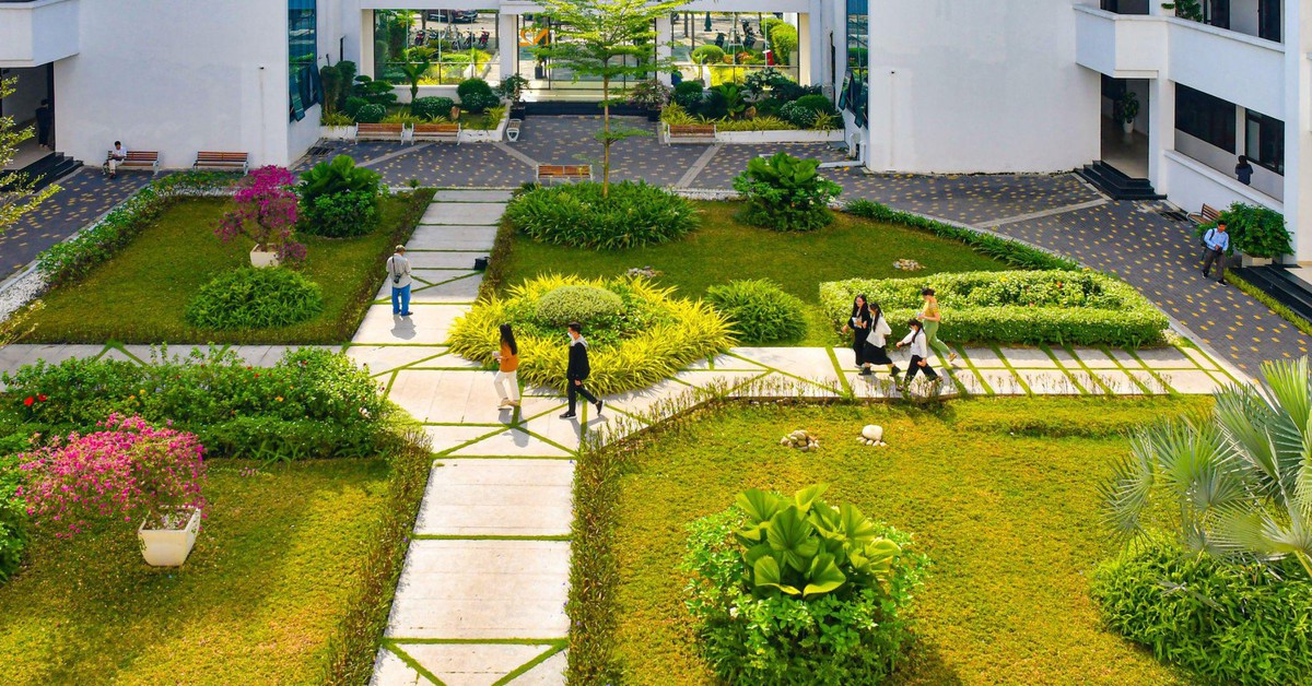 QS Sustainability và THE Impact trong quản trị đại học bền vững