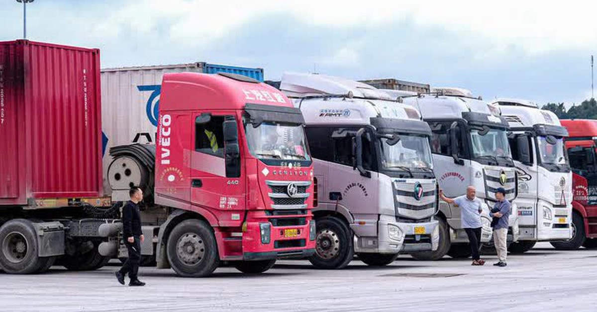 Tạm dừng áp dụng Nghị định 46 về an toàn thực phẩm đến hết ngày 15-4