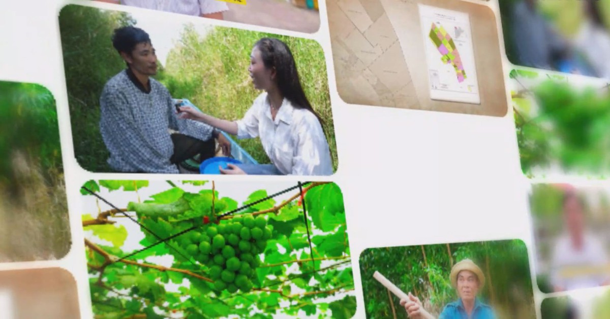 Xã Nguyễn Phích: Hương tràm, mật ngọt dệt nên ‘khát vọng xanh’