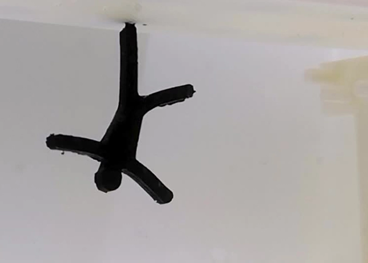 Anh ra mắt robot ‘mềm như thạch’, có thể biến hình bằng điện trường