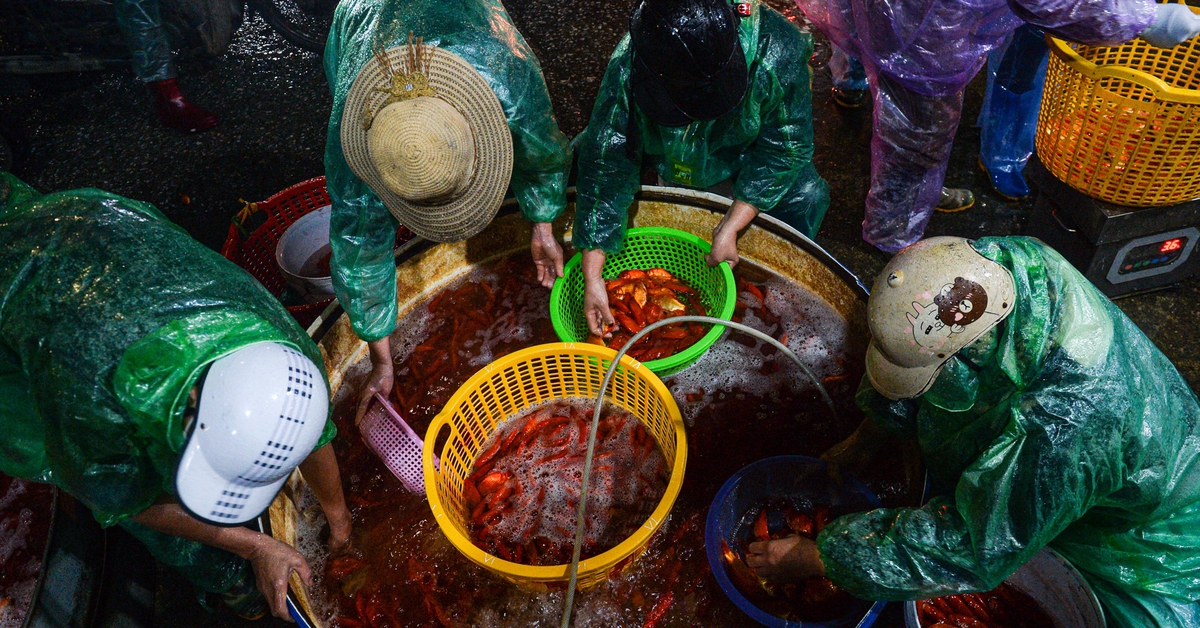 Cảnh tấp nập xuyên đêm ở chợ cá lớn nhất Hà Nội trước ngày ông Công ông Táo