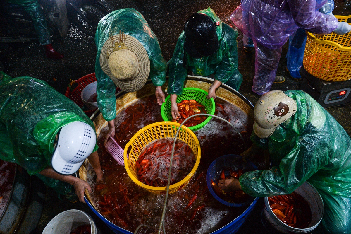 Cảnh tấp nập xuyên đêm ở chợ cá lớn nhất Hà Nội trước ngày ông Công ông Táo