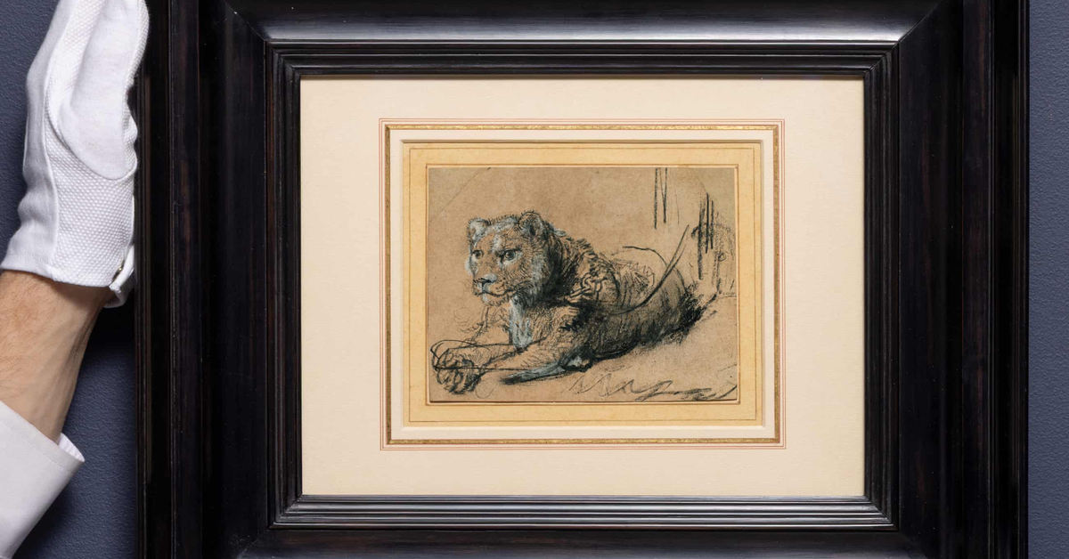 Tranh của Rembrandt lập kỷ lục đấu giá, tiền sẽ để bảo tồn giống mèo lớn