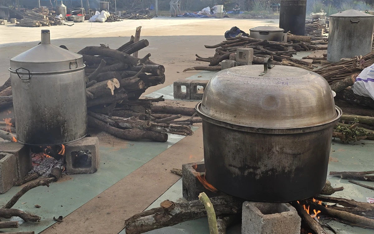 Hơn 100 đội tham gia Hội thi gói, nấu bánh tét, lan tỏa hồn Tết phương Nam