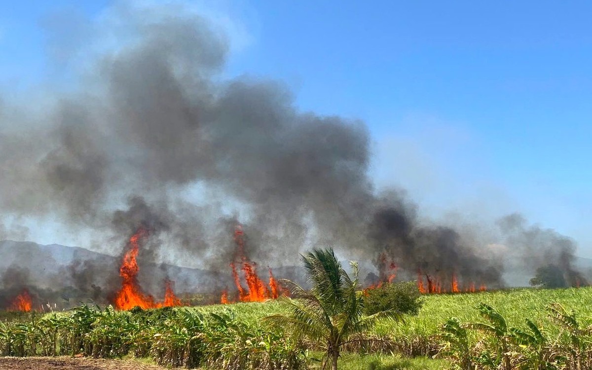 Hơn 40ha mía sắp thu hoạch bị cháy rụi ở Ninh Sơn, tỉnh Khánh Hòa