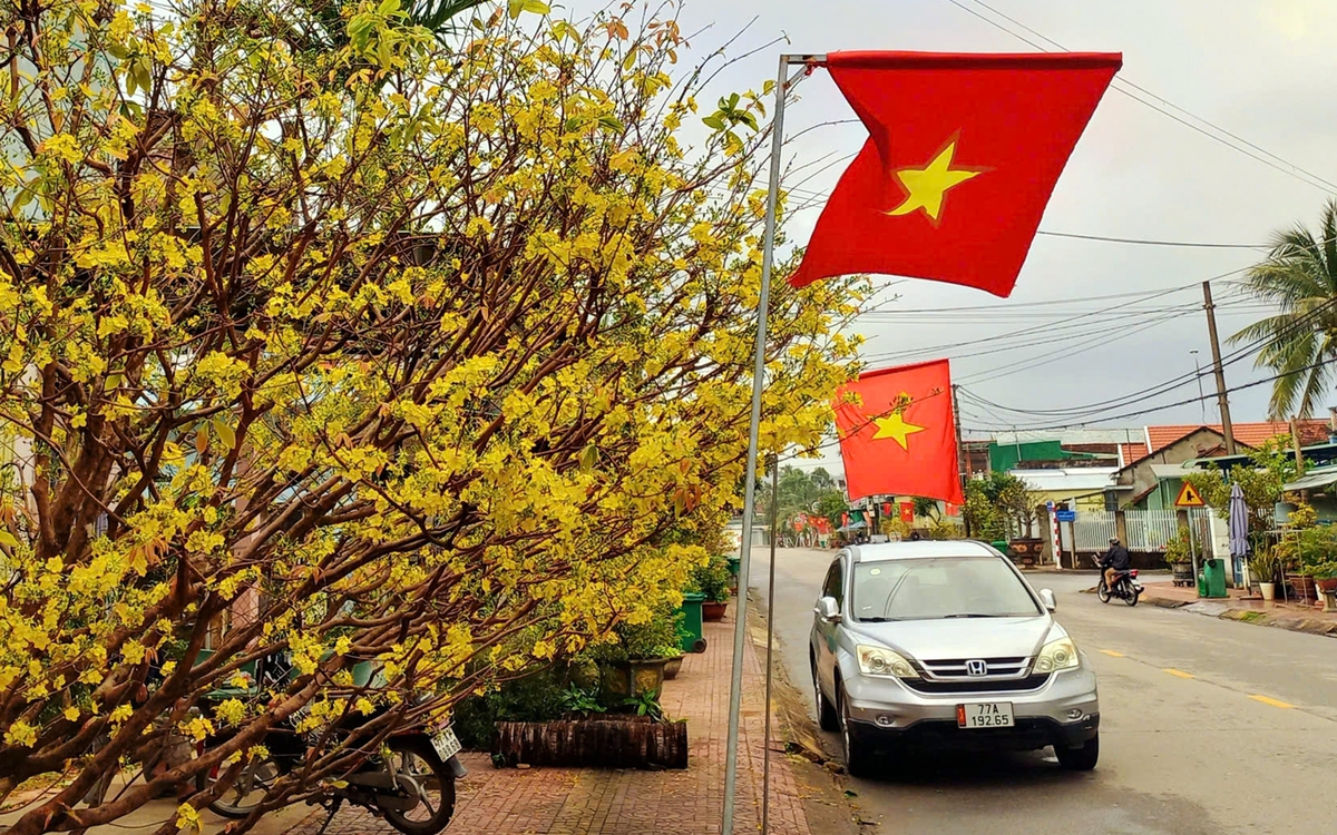 Lái xe về quê, an toàn trên hết