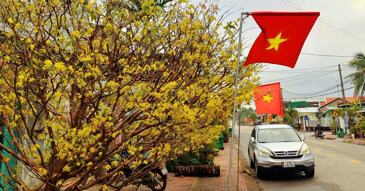 Lái xe về quê, an toàn trên hết