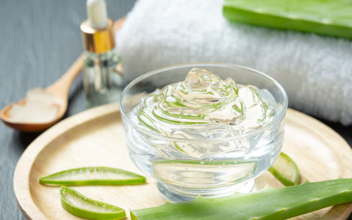 Phát hiện hợp chất nha đam có thể ức chế enzym gây bệnh Alzheimer