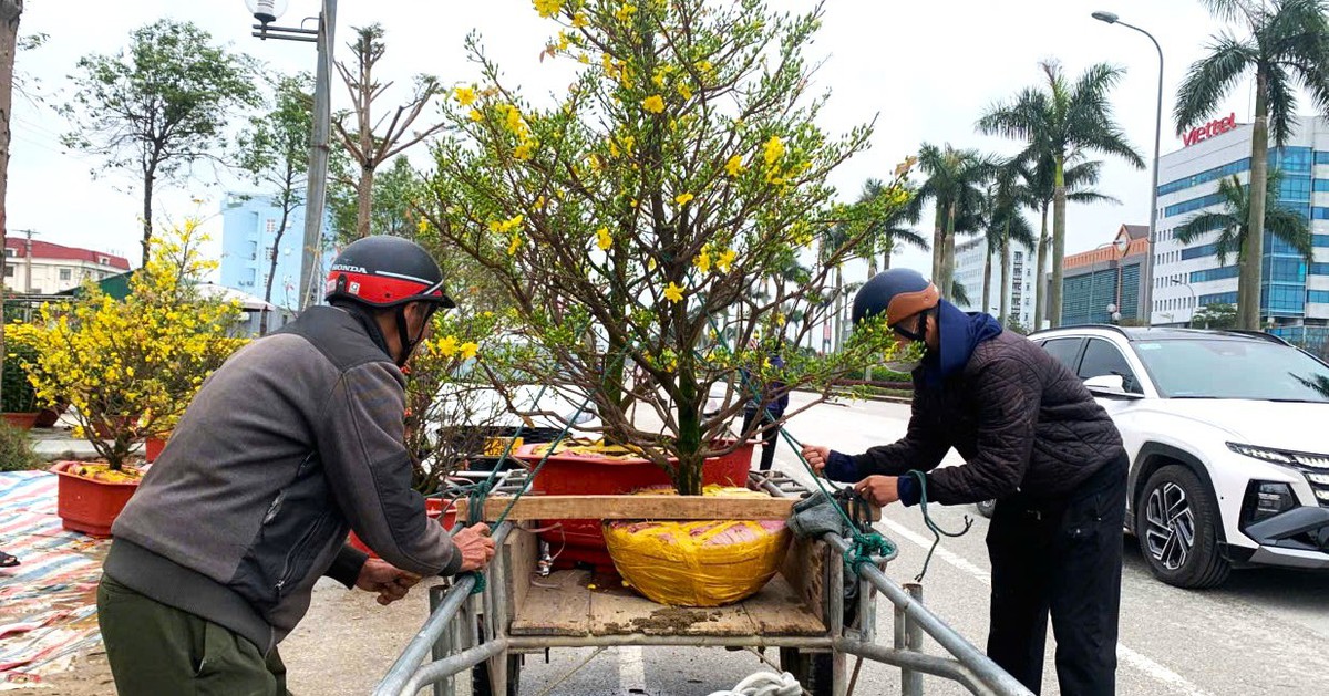 Cuối năm thu nhập khấm khá bằng nghề ‘chở Tết về nhà’