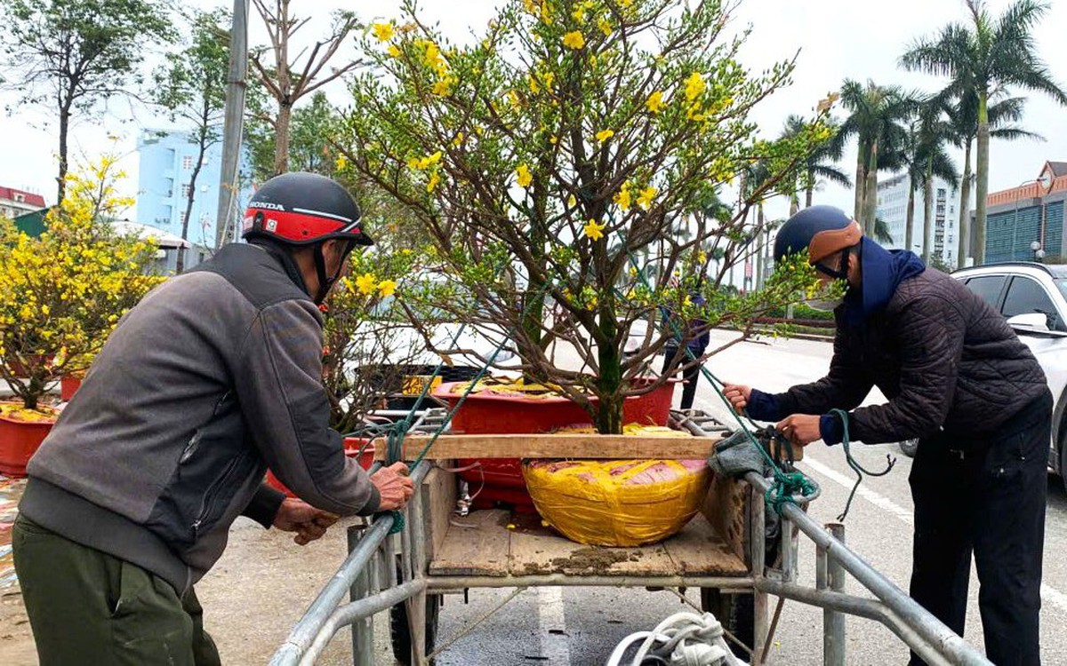 Cuối năm thu nhập khấm khá bằng nghề ‘chở Tết về nhà’