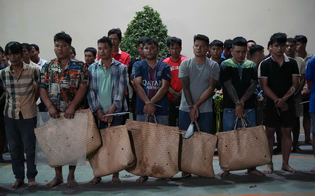 Công an TP.HCM triệt phá các tụ điểm đánh bài cào, đá gà quy mô lớn