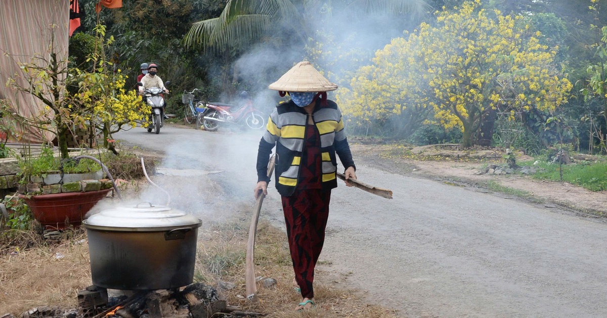 Mùa hoa nở muộn