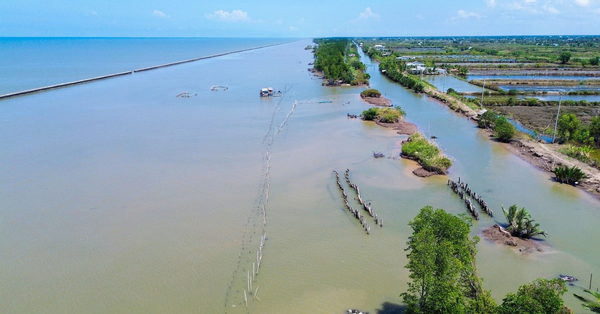 An Giang: Đê biển Tây ở xã Vân Khánh sạt lở, bể đứt đoạn 'đe dọa' việc nuôi tôm cua của dân