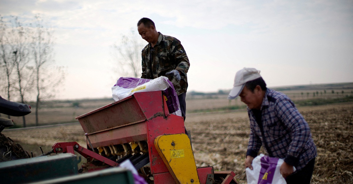 Chiến sự Iran khiến giá phân bón cũng tăng, nông dân Mỹ than 'ác mộng'