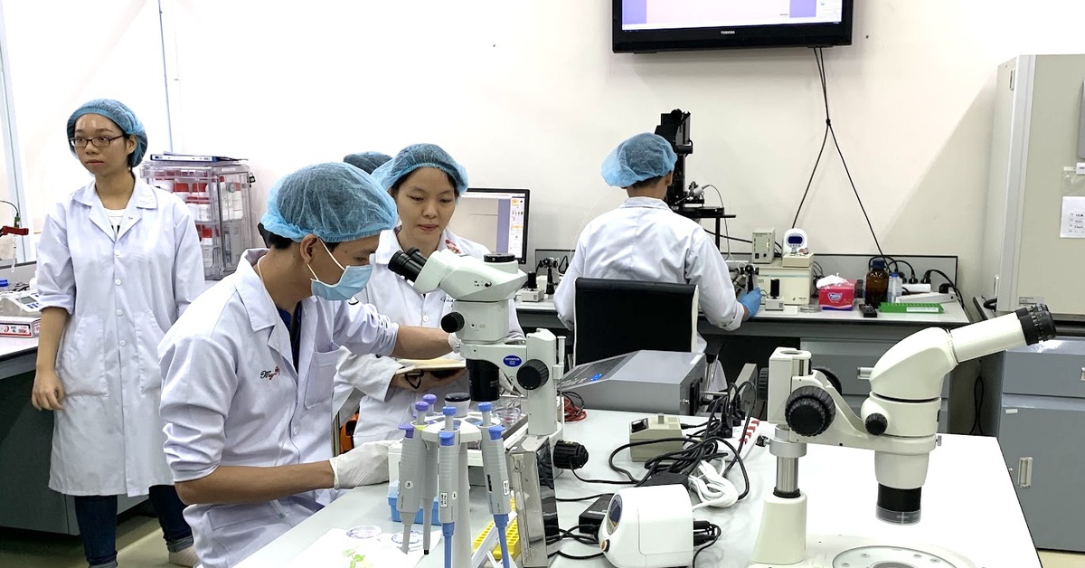 Đại học Quốc gia TP.HCM săn tìm 167 nhà khoa học, ưu đãi nghiên cứu hàng chục tỉ đồng