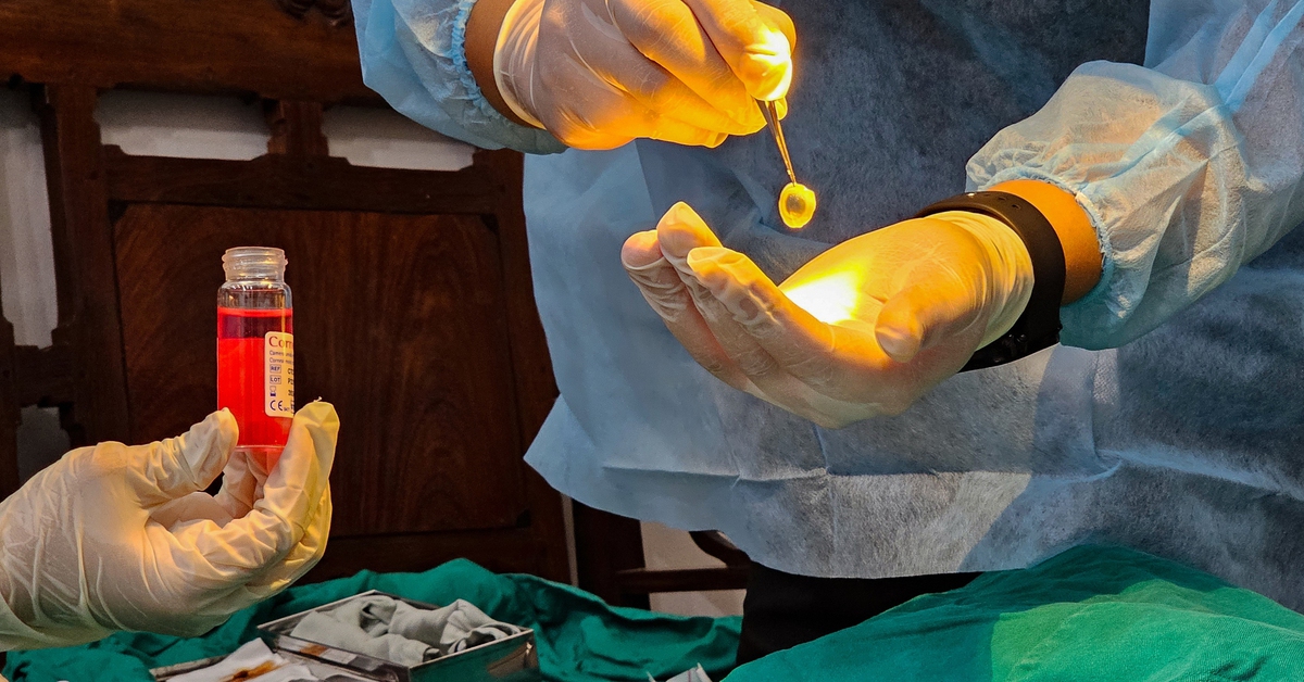 Người đứng đầu bệnh viện phải chịu trách nhiệm nếu hiến, ghép tạng không đúng quy định