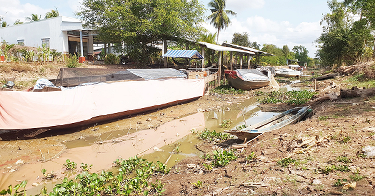 Dự báo hạn hán, xâm nhập mặn ở Nam Bộ từ nay đến cuối mùa khô