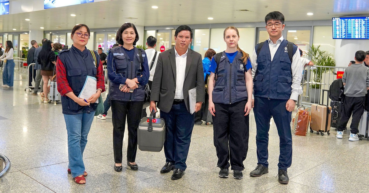 Từ vụ ngộ độc phải chờ thuốc viện trợ nước ngoài: Tiến độ trung tâm trữ thuốc hiếm ra sao?