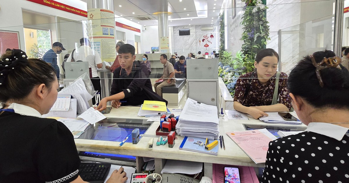 TP.HCM yêu cầu giải quyết thông suốt hồ sơ đất đai nhận trước và cả sau 31-1-2026