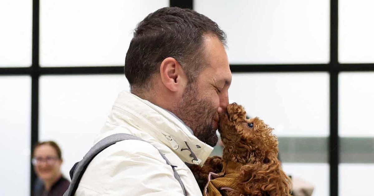 Thú cưng bị bỏ rơi, thậm chí bị yêu cầu an tử khi chủ rời đi vì chiến sự Trung Đông