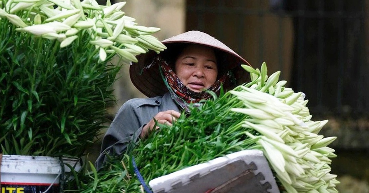 2 yếu tố nền tảng về nhận thức, 5 trọng tâm hành động, 3 trụ cột phát triển 'kinh tế bạc'