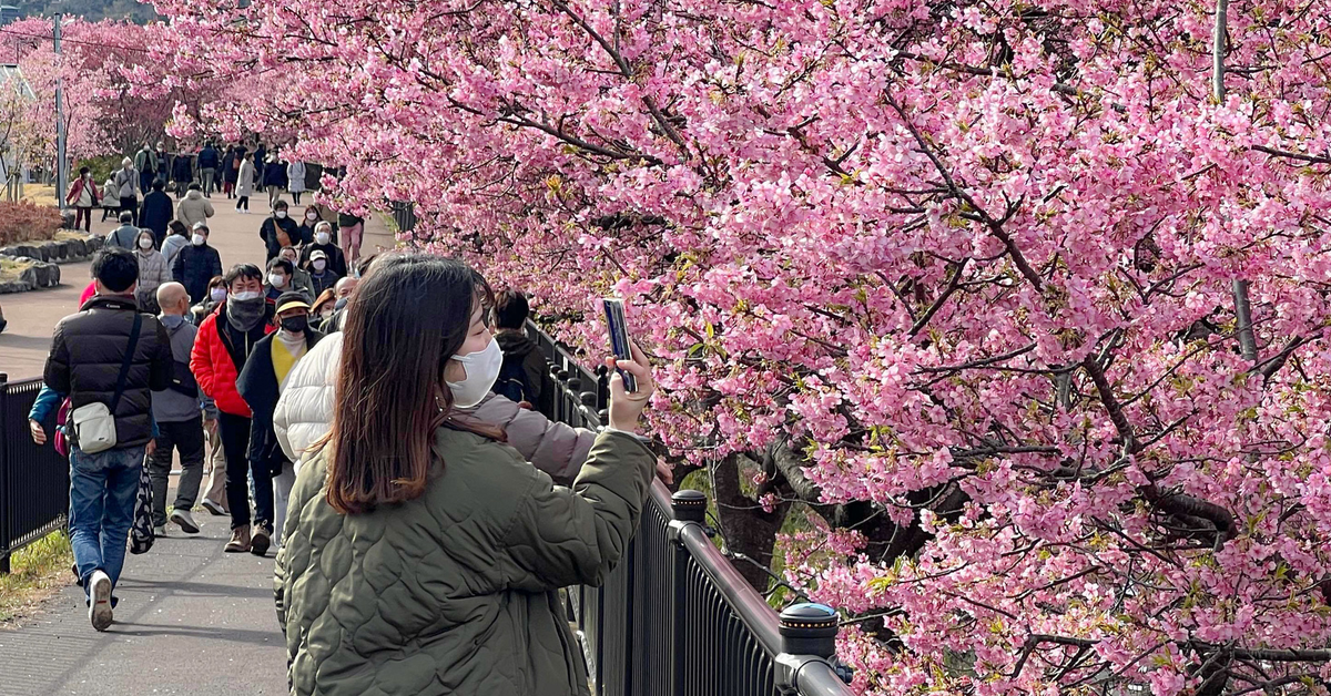 Sắc màu Việt - Nhật: sân chơi sáng tạo cho sinh viên yêu văn hóa