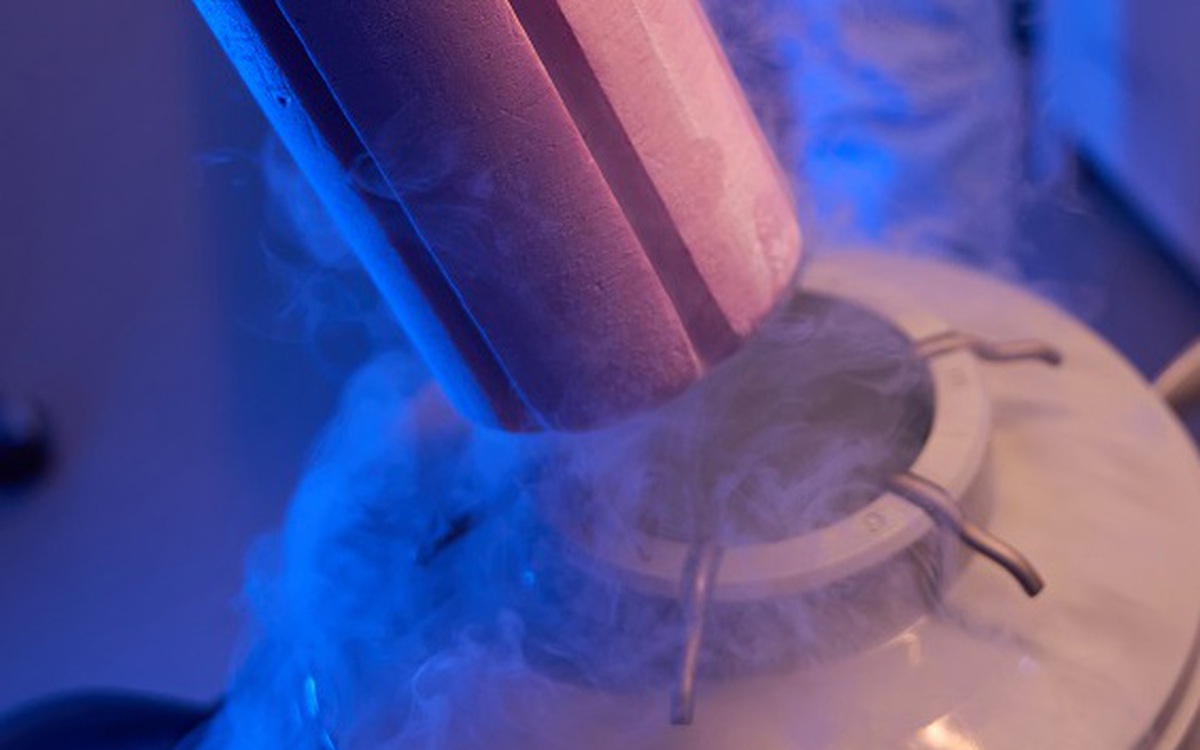 Lần đầu 'đánh thức' não chuột đông lạnh, mở hy vọng ngủ đông cho con người