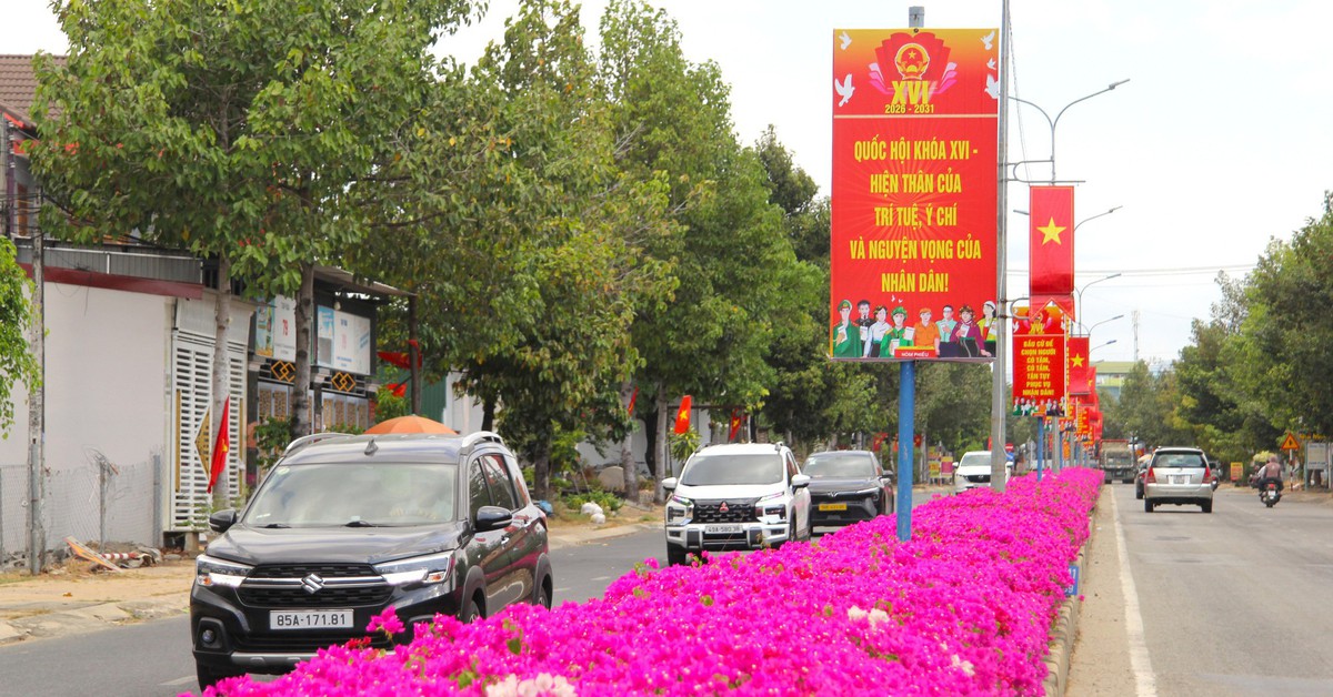 Con đường hoa giấy tím rực ở vùng cao Ninh Thuận cũ níu chân du khách