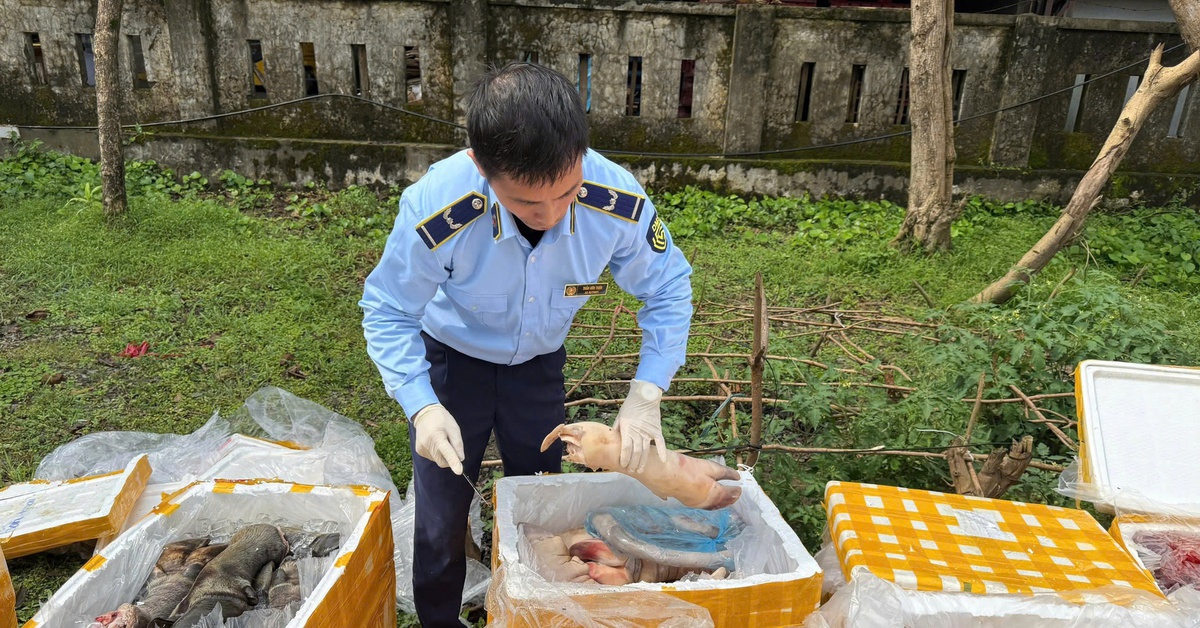 Phát hiện, tiêu hủy hơn 2,6 tấn nội tạng động vật không rõ nguồn gốc