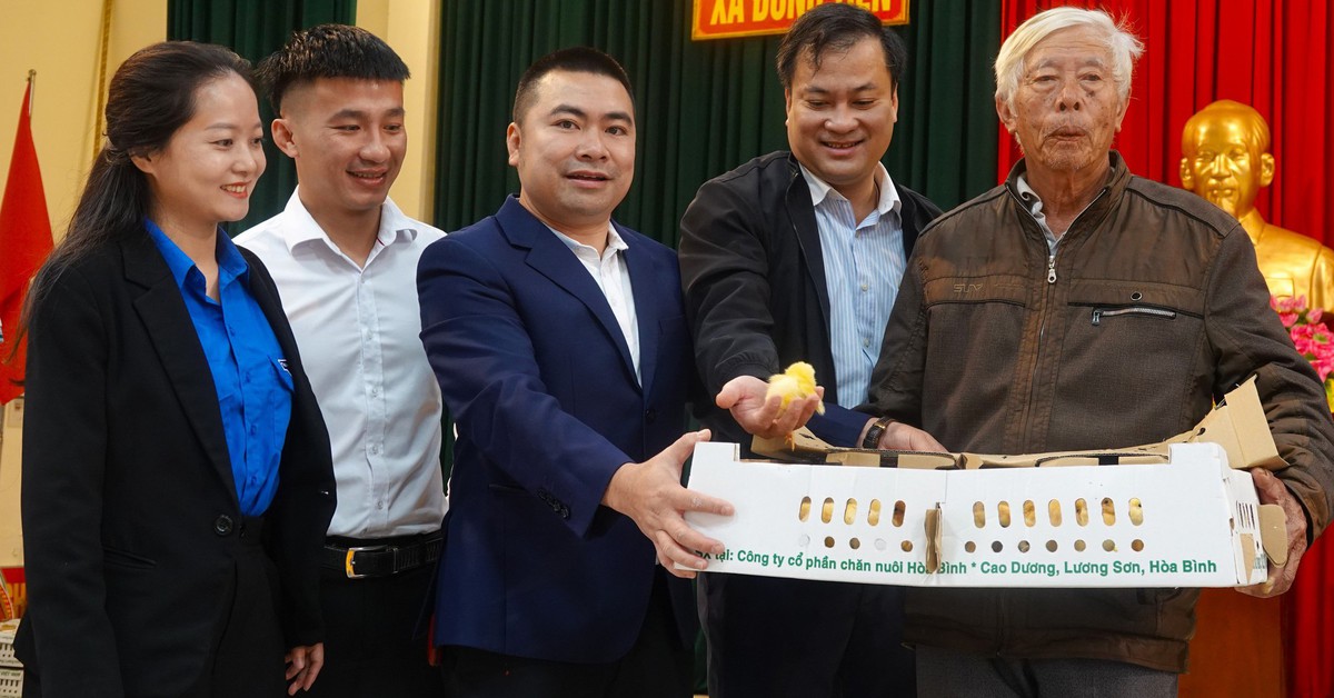 Trao 7.500 con gà giúp người dân bị ảnh hưởng bão lũ tái thiết cuộc sống