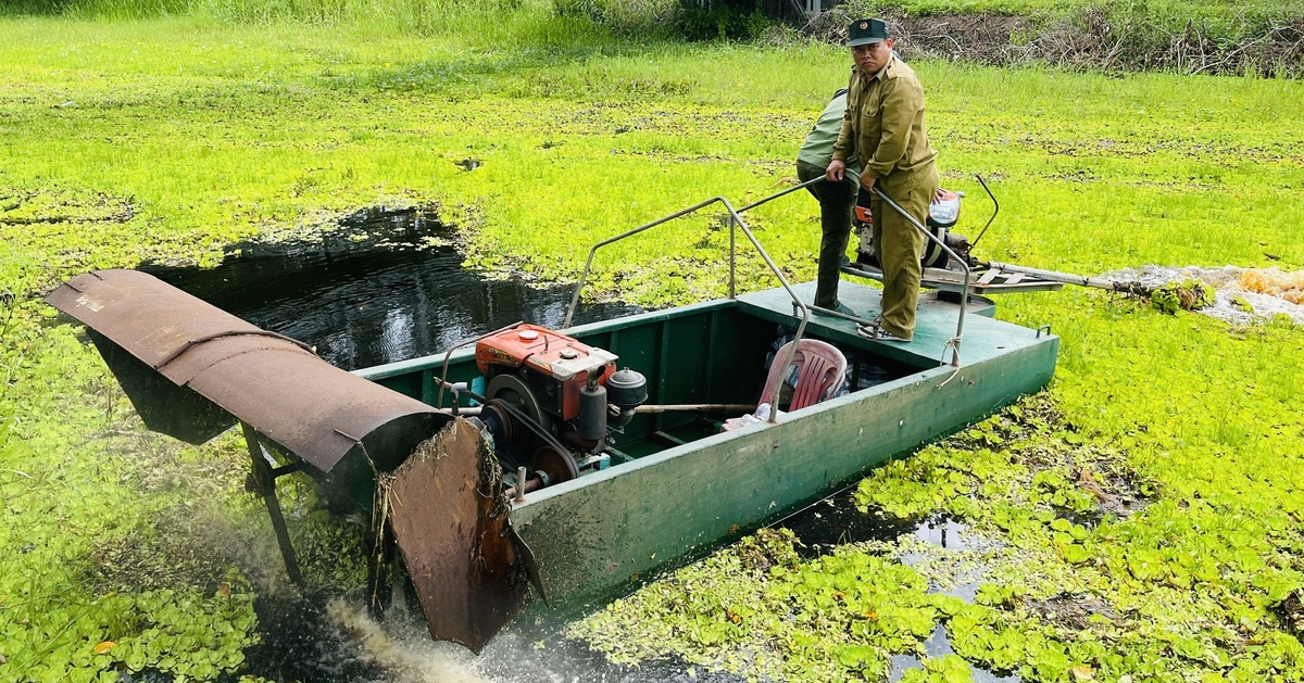 Nam Bộ, TP.HCM bước vào cao điểm nắng nóng, bà con cần lưu ý gì?