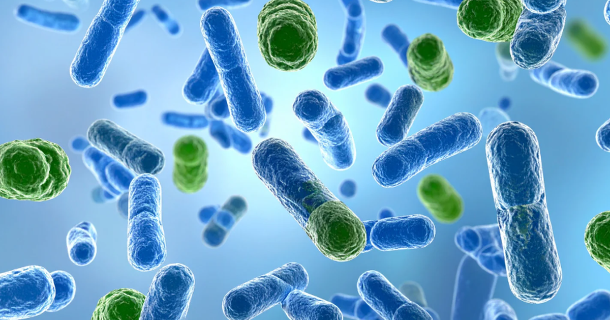 Vì sao có người 100 tuổi vẫn minh mẫn, có người 50 đã lẩn thẩn?