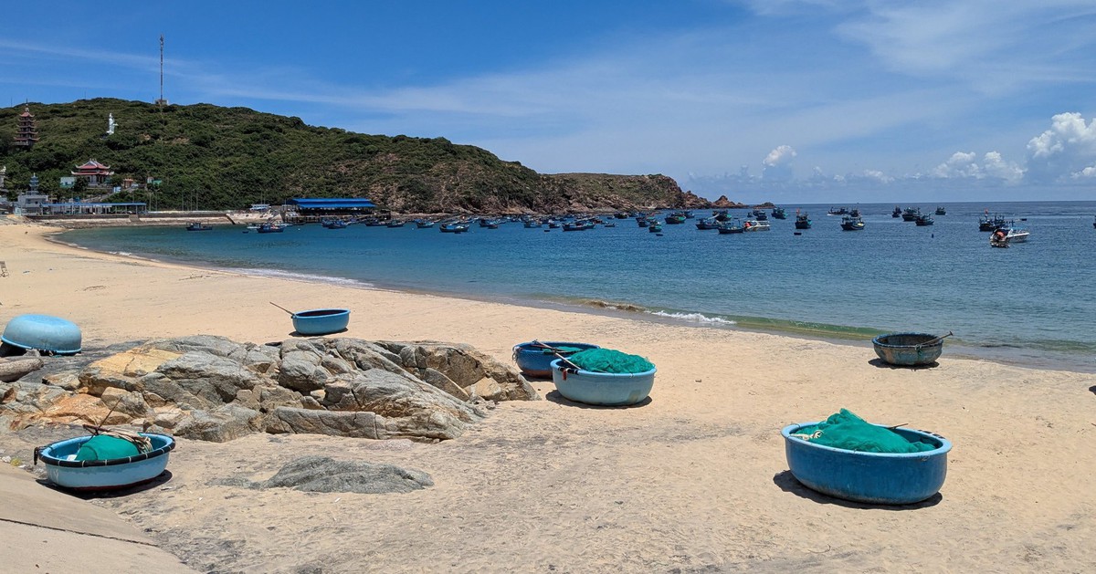 Phát triển cảng cá ở Quy Nhơn thành cảng du lịch