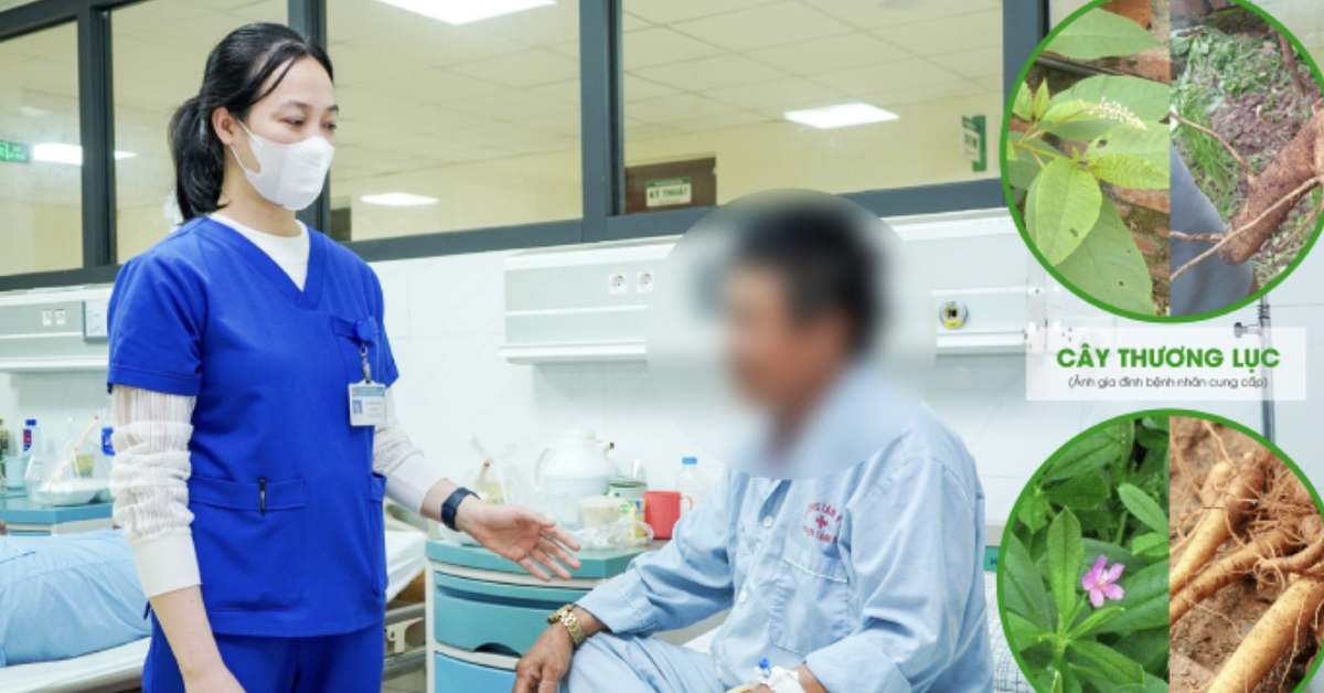 Nhập viện sau khi ăn loại củ giống sâm đất