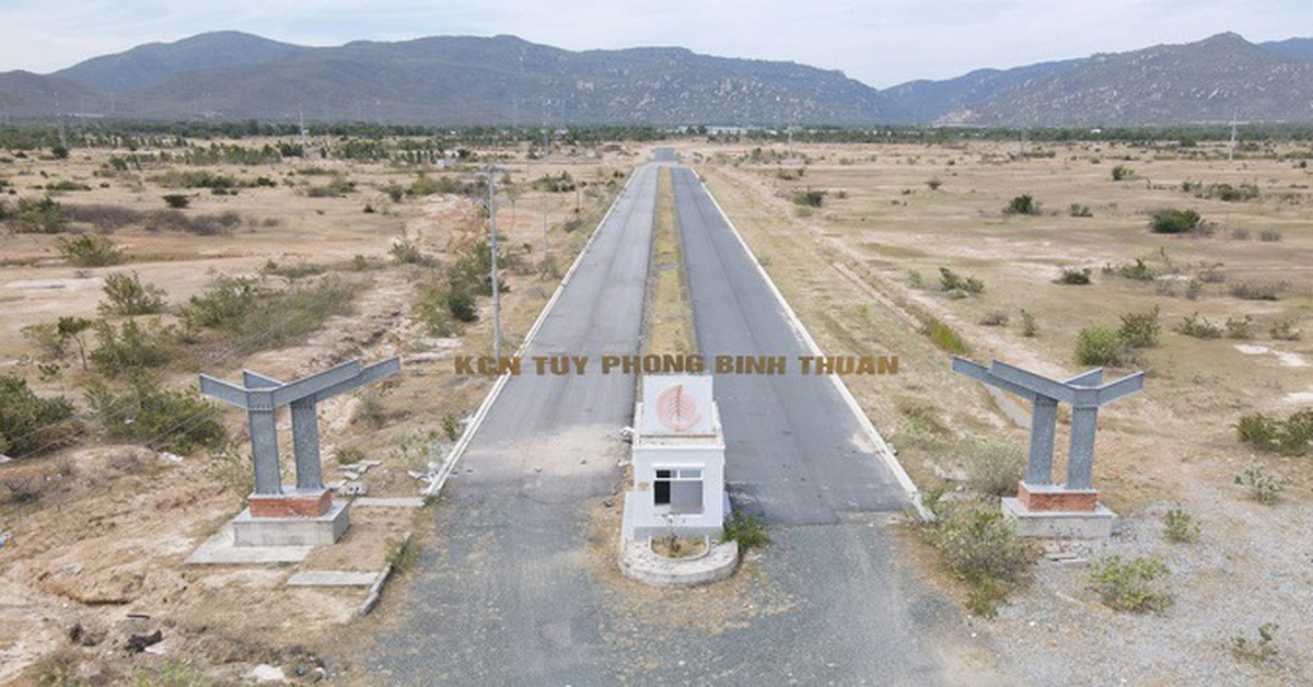 Chậm xác định giá đất, đất giao chậm sử dụng có thể bị xem là gây lãng phí đất đai