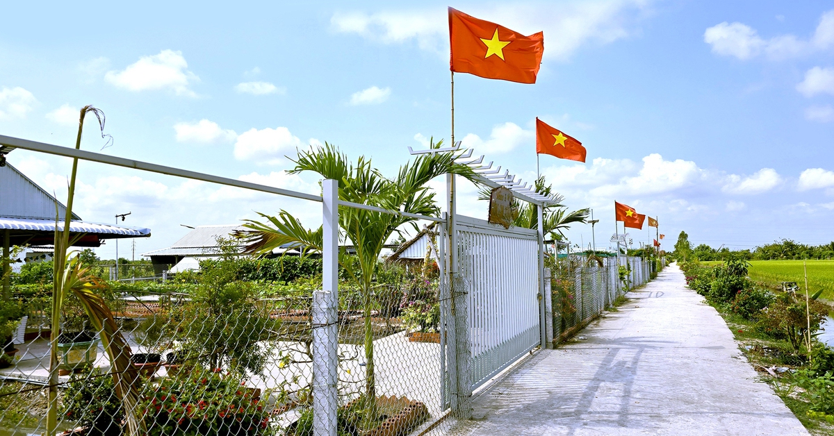 Xẻ ruộng lúa lập vườn sinh thái trái phép rồi rao bán