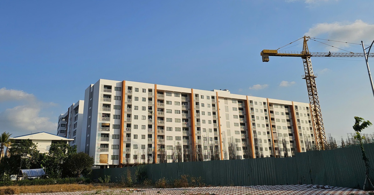 Tin tức sáng 19-3: Chung cư Cần Thơ phải có tối thiểu từ 2 nhà mạng để người dân lựa chọn