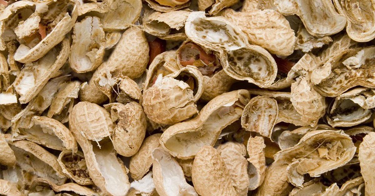 Biến vỏ đậu phộng thành 'vật liệu kỳ diệu' siêu nhẹ, siêu bền