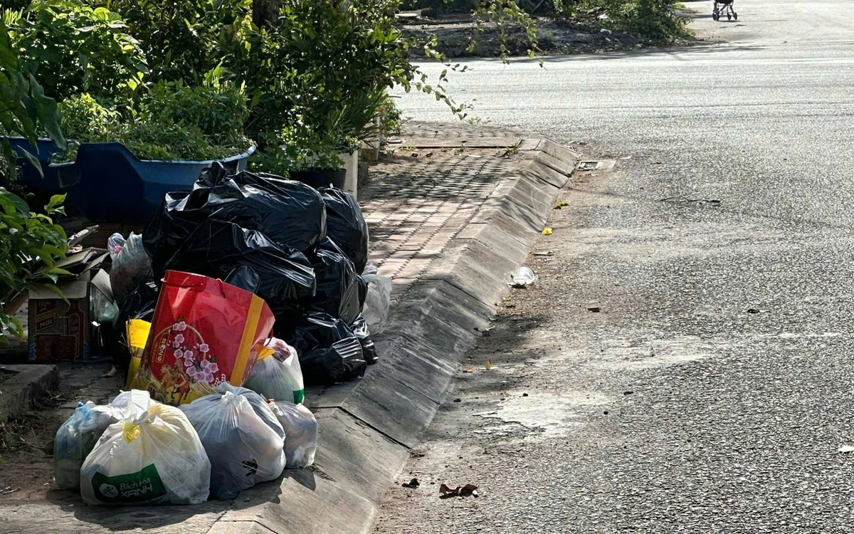 Rác ùn ứ ở Cần Thơ vì không thu gom hằng ngày