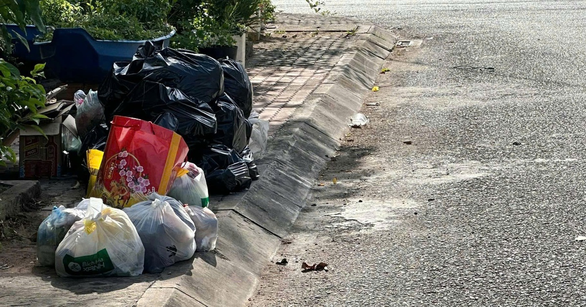 Rác ùn ứ ở Cần Thơ vì không thu gom hằng ngày