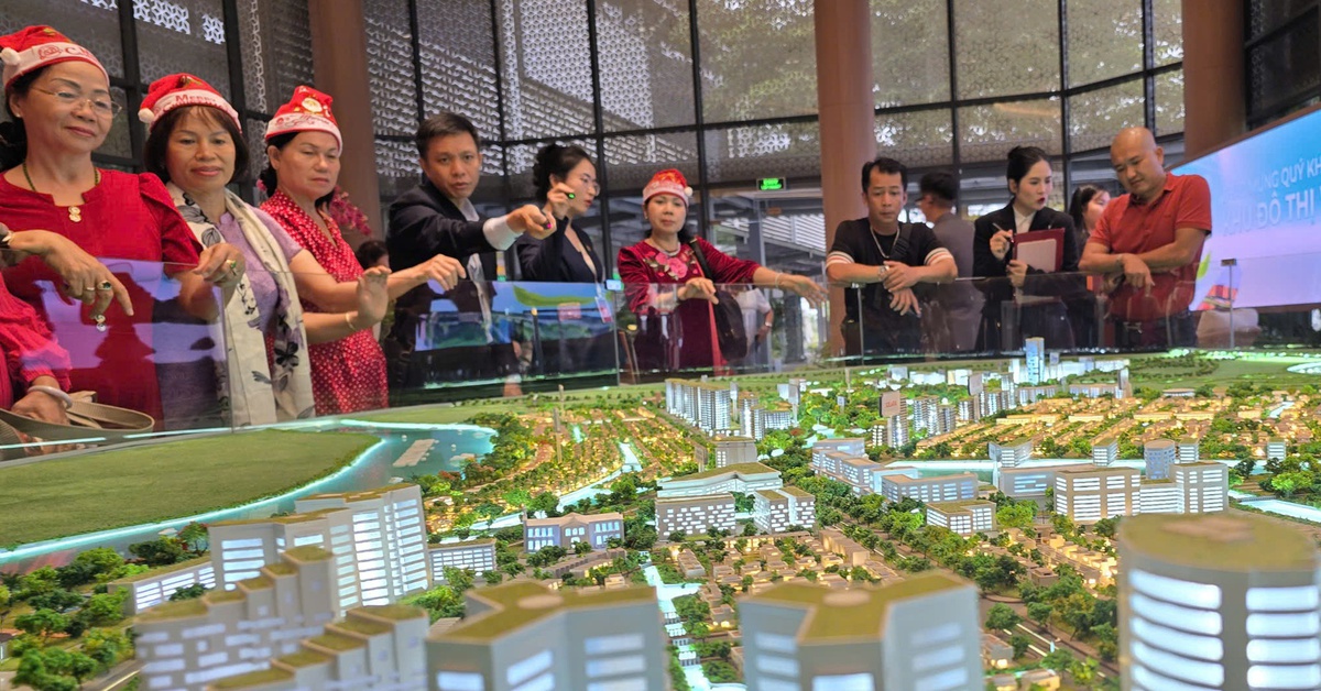 Chỉ 1,7% sàn giao dịch bất động sản hoạt động tại TP.HCM trong năm 2025 có giấy phép