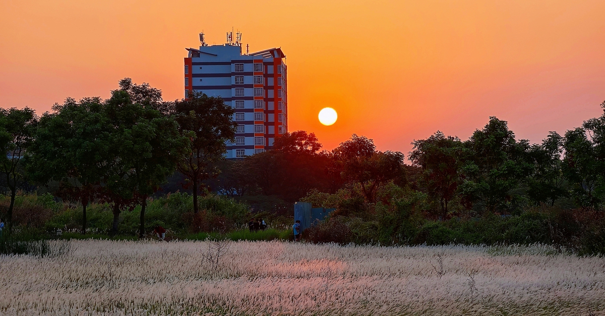 Đồng cỏ thơ mộng tại làng đại học hút khách 'săn' hoàng hôn, check-in