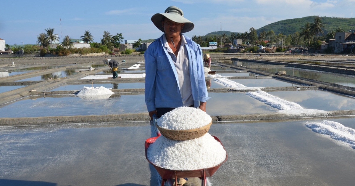 Giá muối tăng kỷ lục, diêm dân Sa Huỳnh phấn khởi vào vụ mới