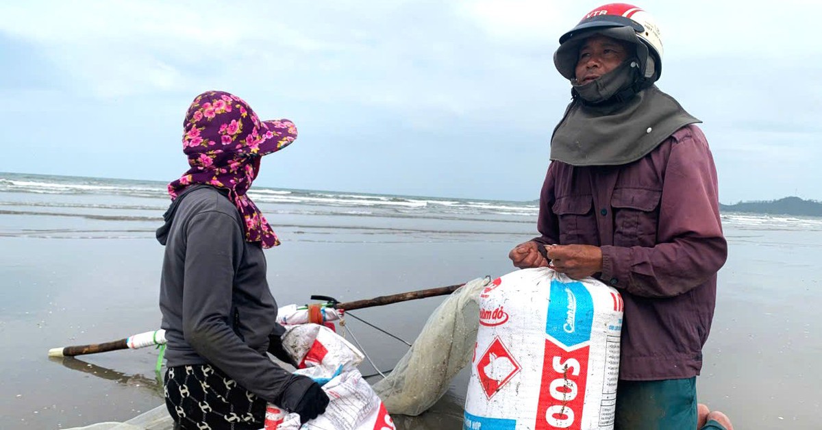 Kiếm tiền triệu mỗi ngày từ nghề cào ốc tép bên bờ biển